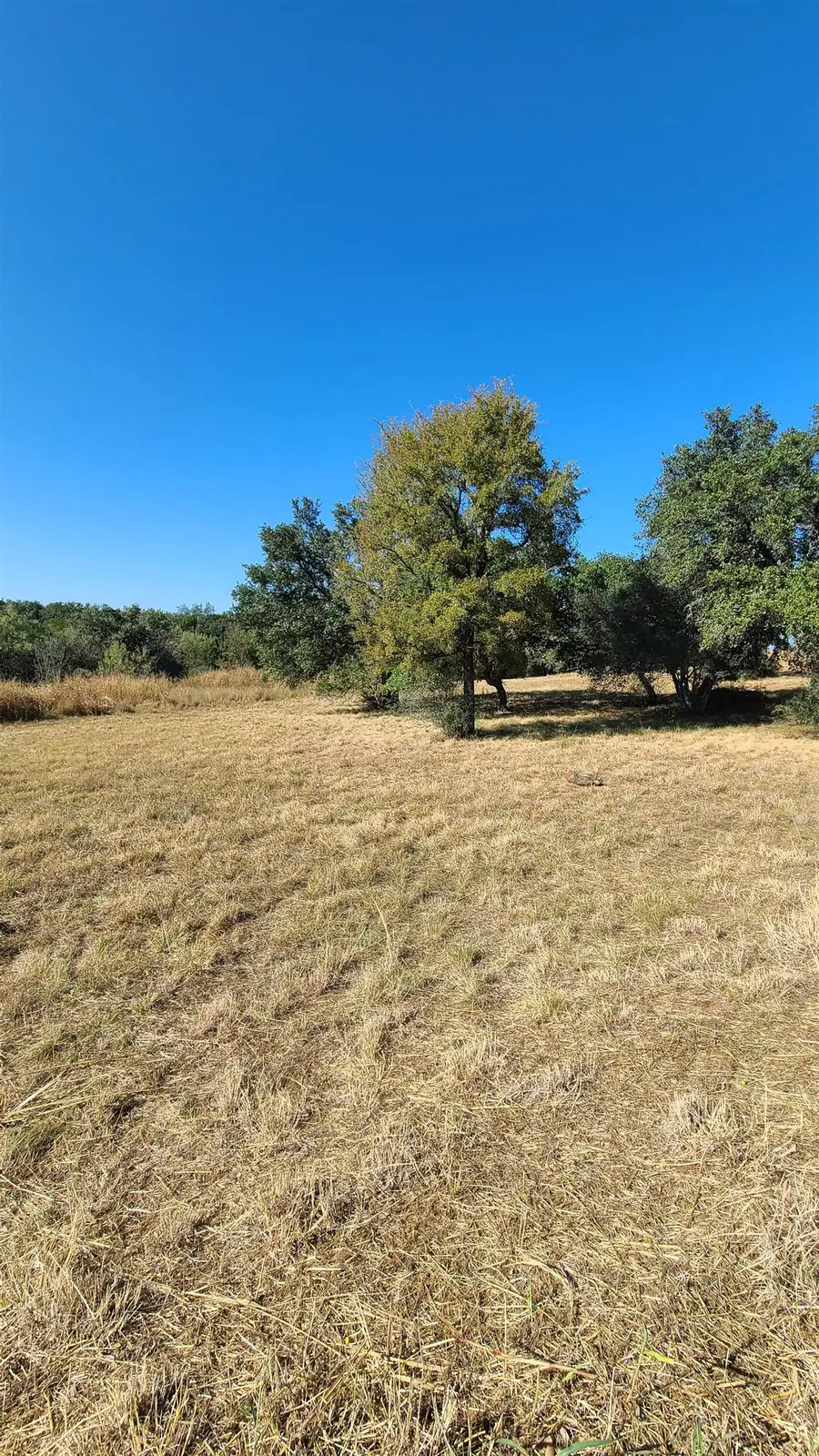 W23013 Apache Tears, Horseshoe Bay, TX 78657 - Image #3