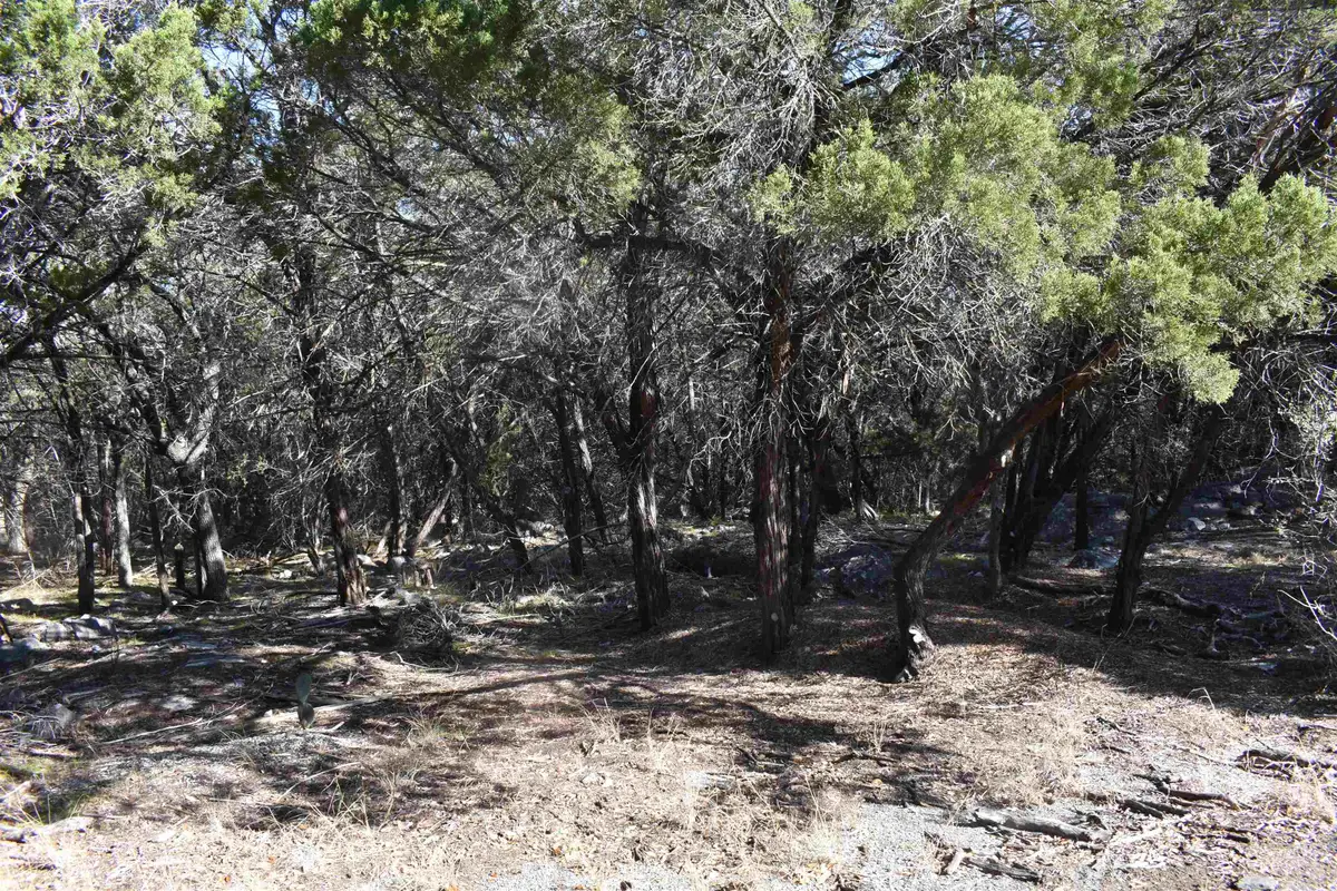 TBD Saddle Back Road, Horseshoe Bay, TX 78657 - Image #1