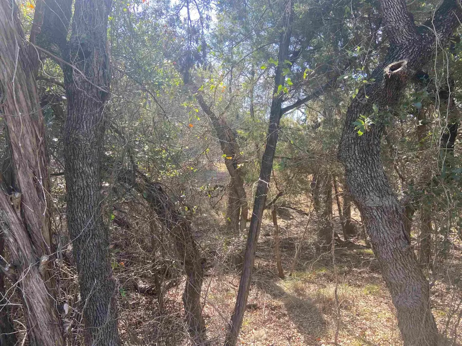 K4132 Mountain Dew, Horseshoe Bay, TX 78657-9999 - Image #3