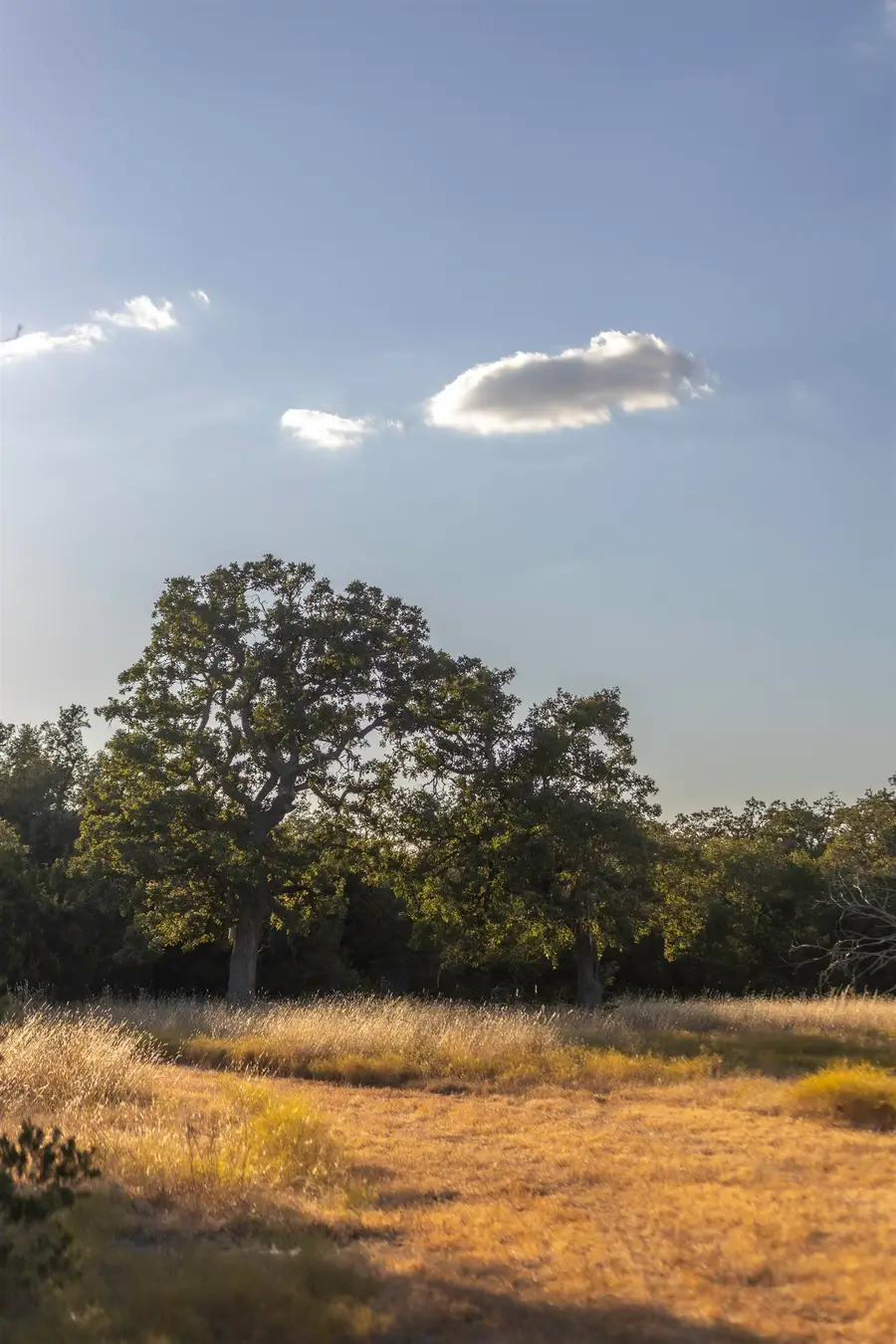 TBD Herbert Schaefer Road, Fredericksburg, TX 78624 - Image #3