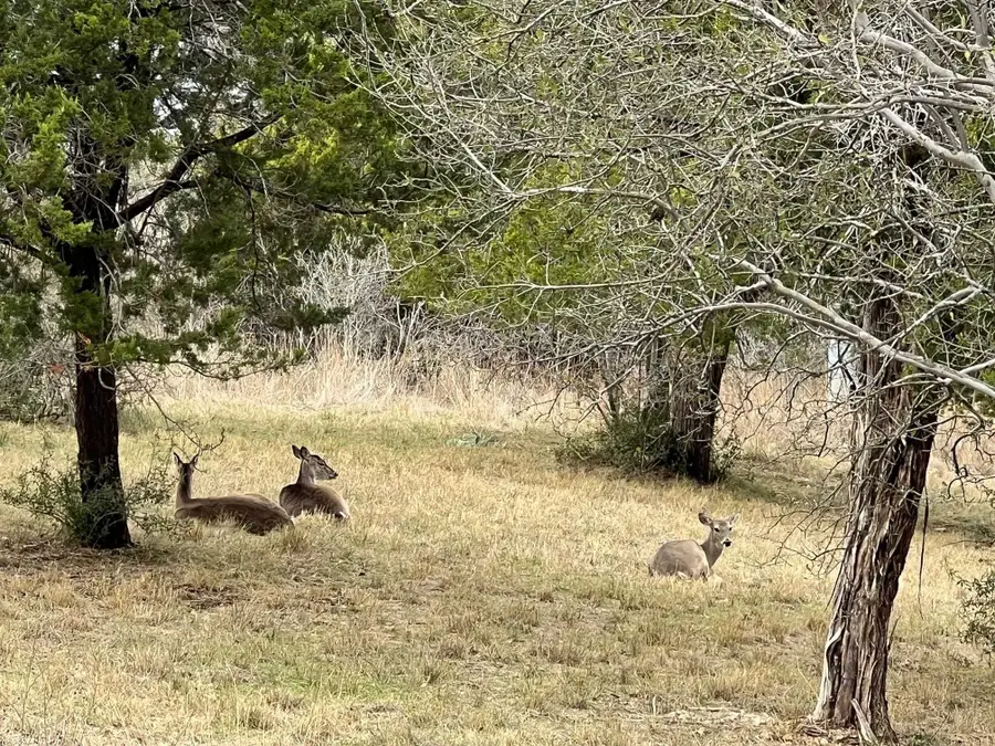Lot 8002 Hi Circle West, Horseshoe Bay, TX 78657-0000 - Image #3