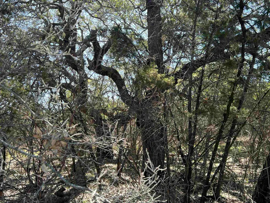 Lot K9062 Ponderosa Bend, Horseshoe Bay, TX 78657 - Image #2