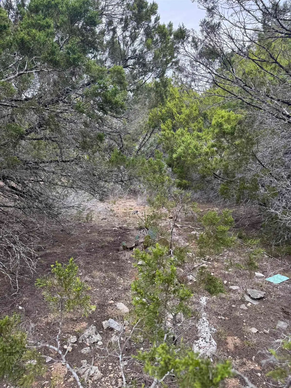 20204 Lewis Cove, Lago Vista, TX 78645 - #1