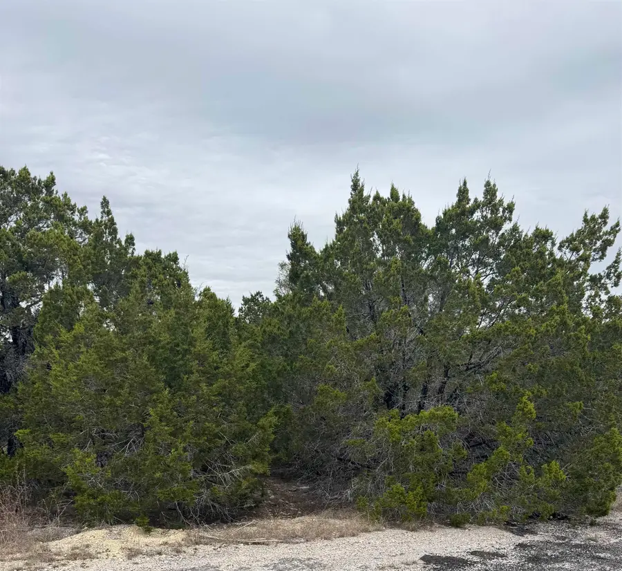 20204 Lewis Cove, Lago Vista, TX 78645 - #3