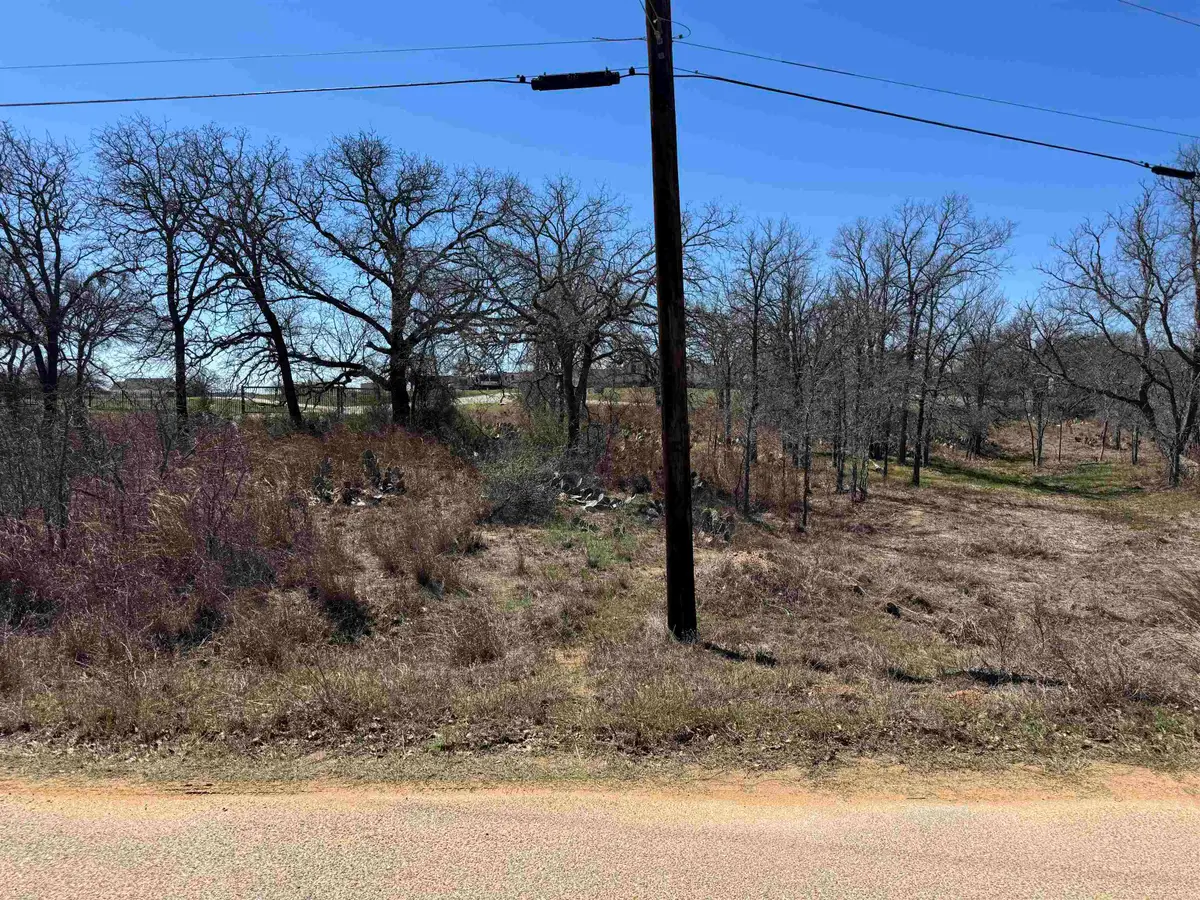 Lot 144 Woodlawn Drive, Kingsland, TX 78639 - Image #1