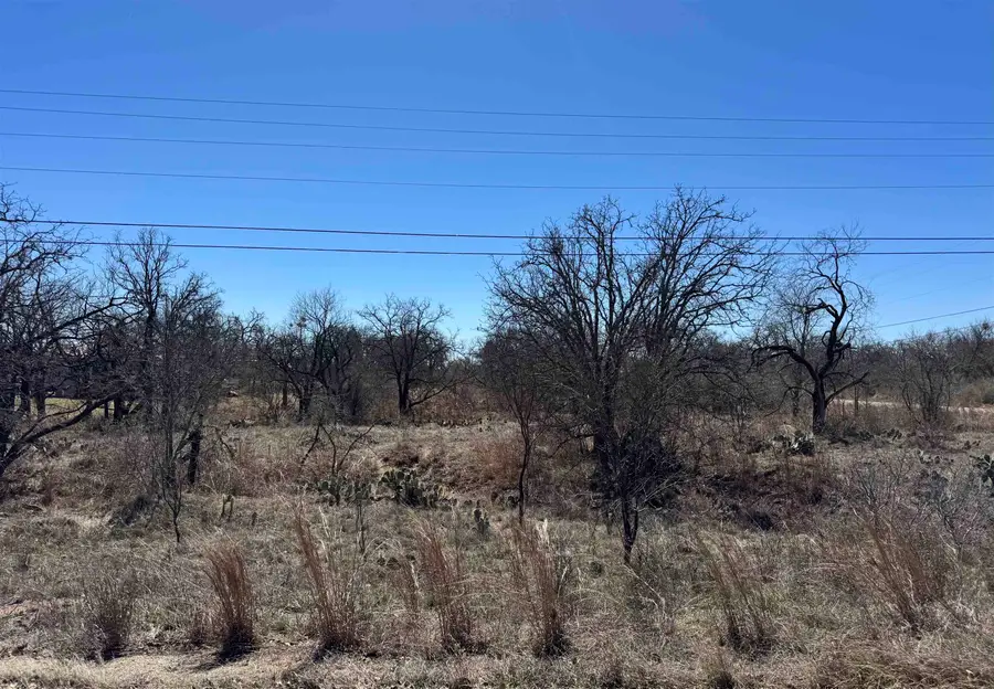 Lot 146 Woodlawn Drive, Kingsland, TX 78639 - Image #3