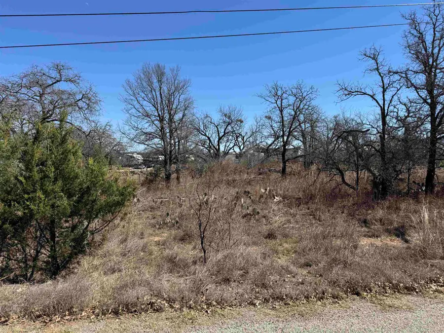 Lot 148 Woodlawn Drive, Kingsland, TX 78639 - Image #3