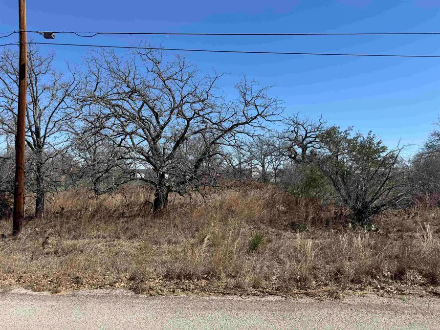 Lot 149 Woodlawn Drive, Kingsland, TX 78639 - Image #3