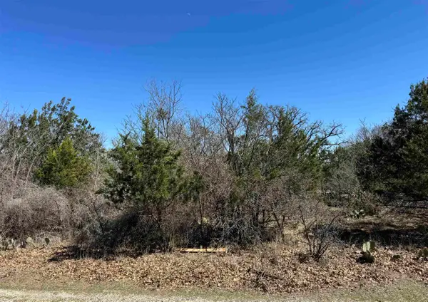 Lot 218 Western Drive, Kingsland, TX 78639