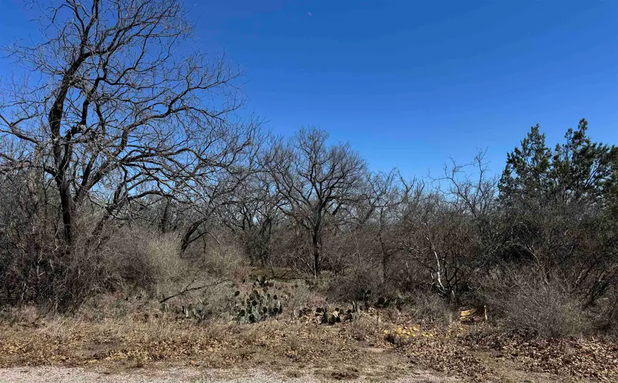Lot 219 Western Drive, Kingsland, TX 78639 - Image #2