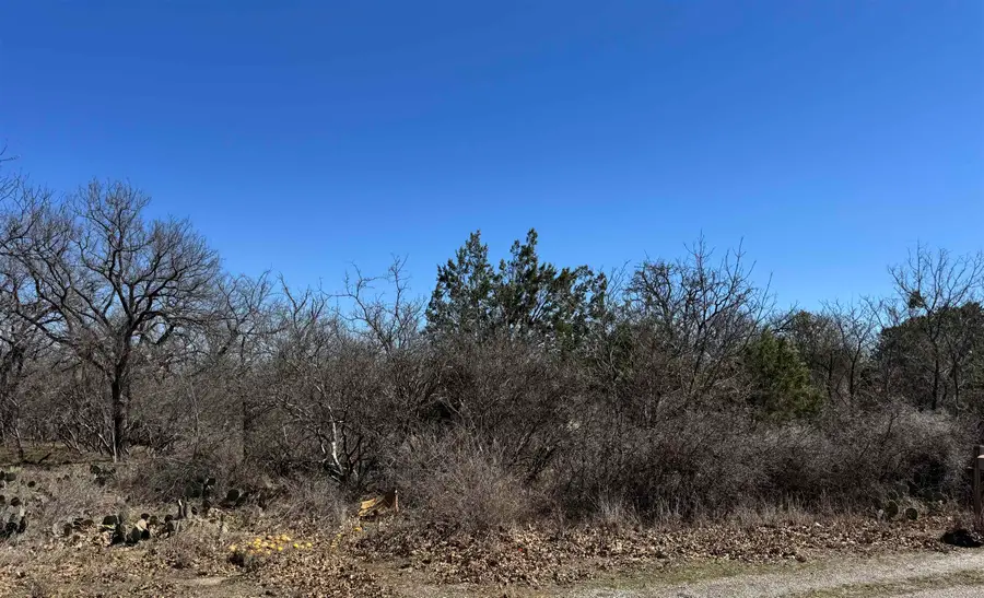 Lot 219 Western Drive, Kingsland, TX 78639 - Image #3