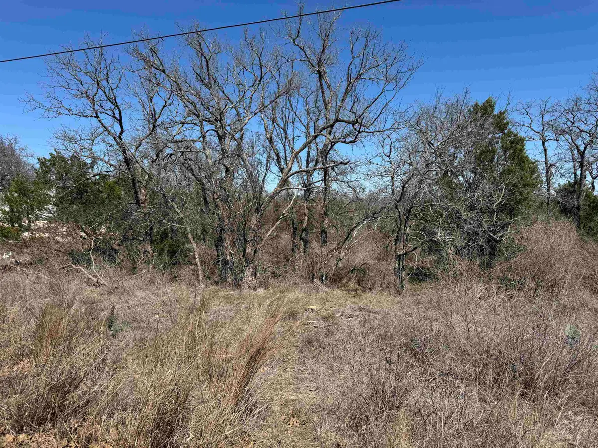 Lot 180 Longmont Drive, Kingsland, TX 78639 - Image #1