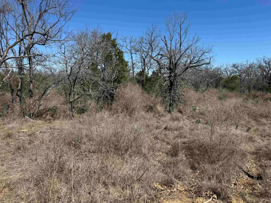 Lot 180 Longmont Drive, Kingsland, TX 78639 - Image #2
