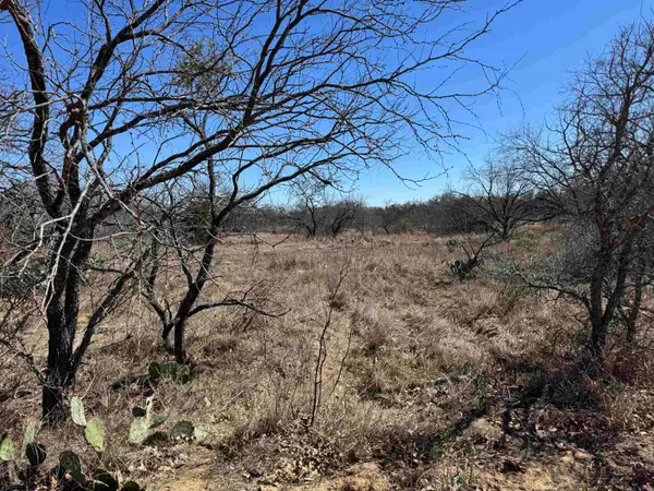 Lot 128 Brent Drive, Kingsland, TX 78639