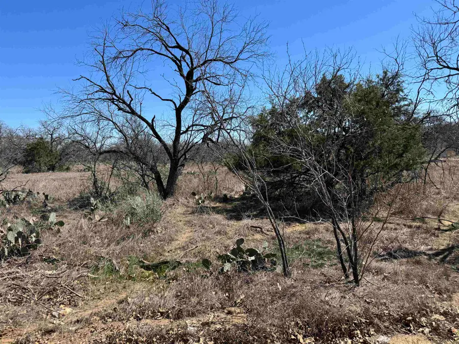 Lot 128 Brent Drive, Kingsland, TX 78639 - Image #2