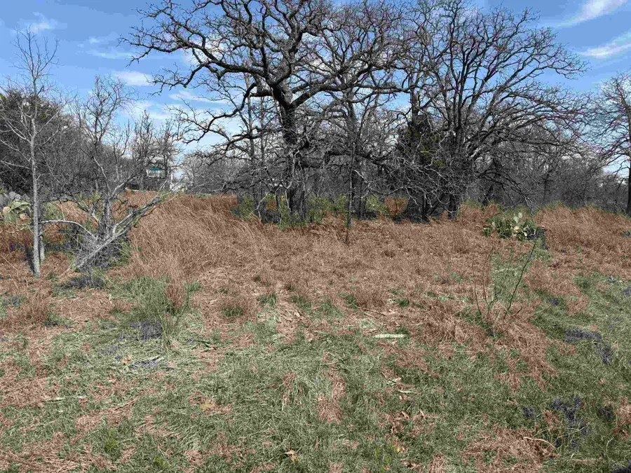 Lot 78 Ridgemont Drive, Kingsland, TX 78639 - Image #2
