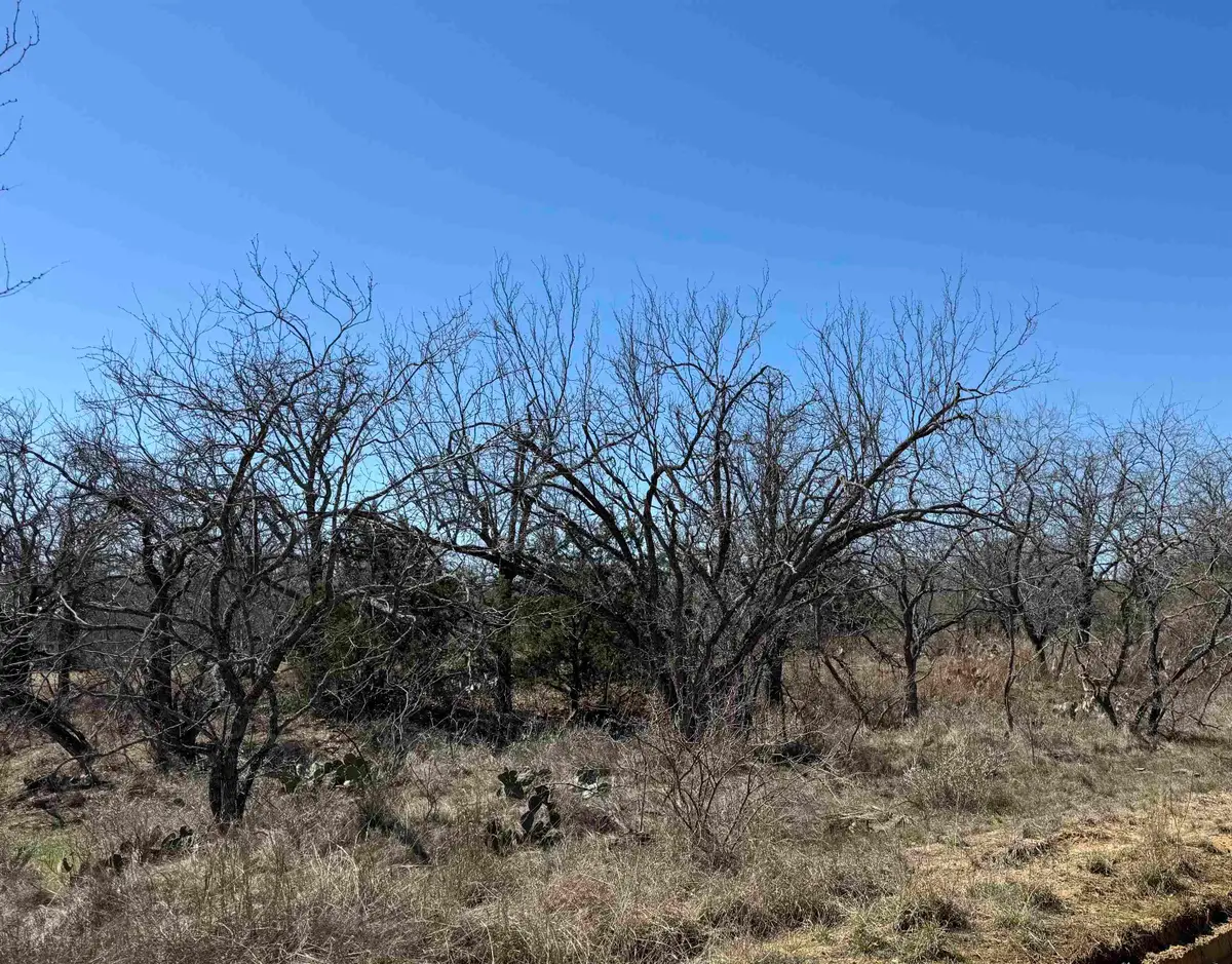 Lot 102 Ridgemont Drive, Kingsland, TX 78639 - Image #1