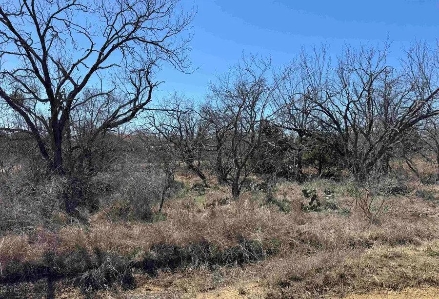 Lot 102 Ridgemont Drive, Kingsland, TX 78639 - Image #2