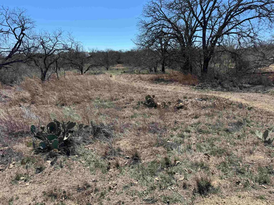 Lot 103 Ridgemont Drive, Kingsland, TX 78639 - Image #2