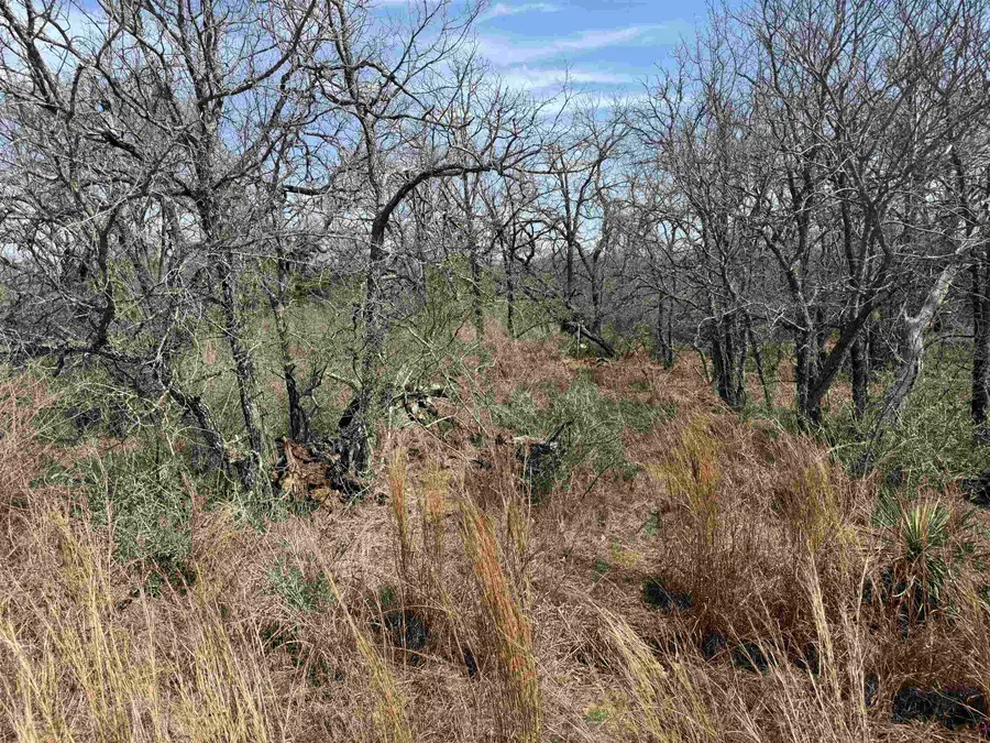 Lot 300-304 Link/pinemont Drive, Kingsland, TX 78639 - Image #3
