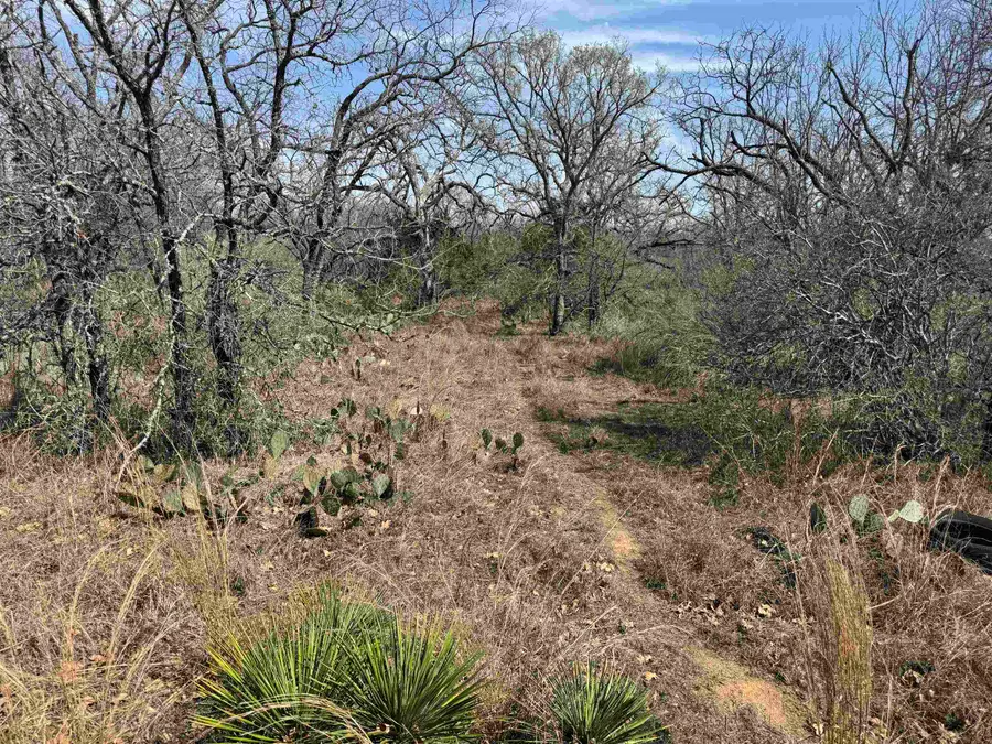 Lot 294 Pinemont Drive, Kingsland, TX 78639 - Image #2