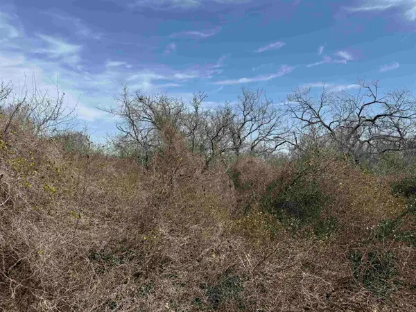 Lot 275-282 Aspermont Drive, Kingsland, TX 78639