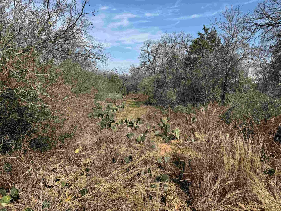 Lot 275-282 Aspermont Drive, Kingsland, TX 78639 - Image #3