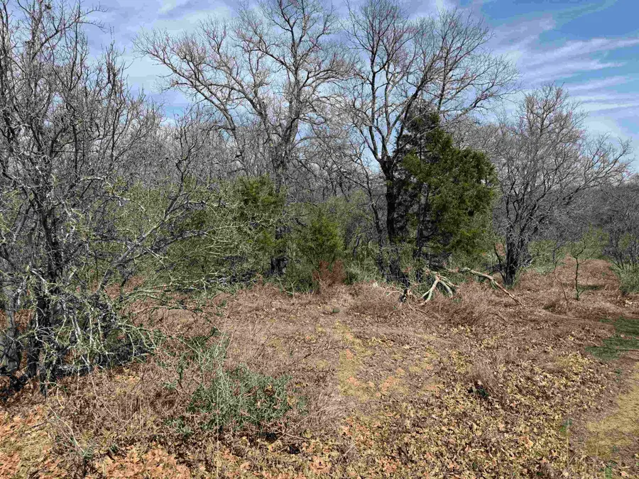 Lot 283-289 Aspermont Drive, Kingsland, TX 78639 - Image #2