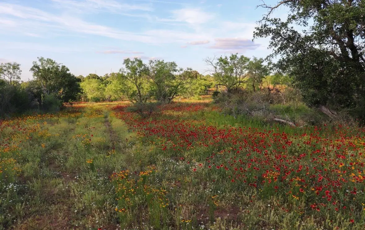 16200 W Ranch Road 152, Llano, TX 78643 - Image #1