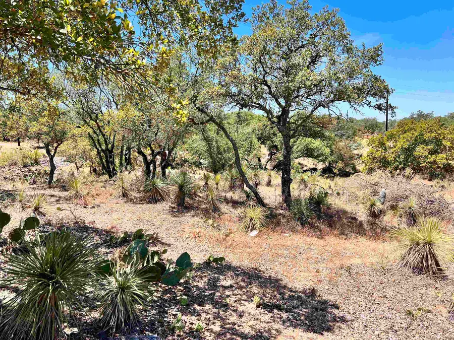 Lot 320 Tbd W. Castlebriar Drive, Granite Shoals, TX 78654 - Image #2