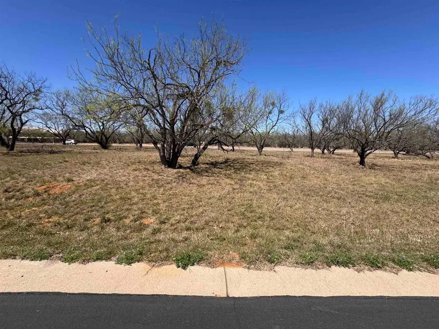 LT 23004 Far West, Horseshoe Bay, TX 78657 - Image #2