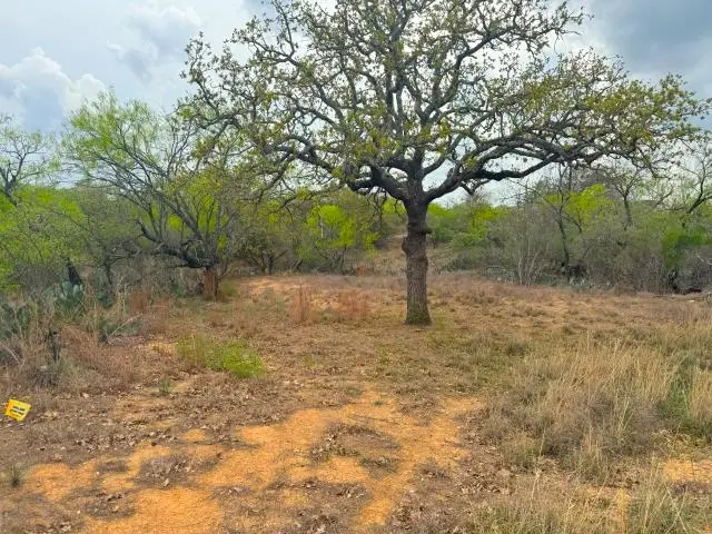 489 Oakhill Dr, Granite Shoals, TX 78654 - Image #2