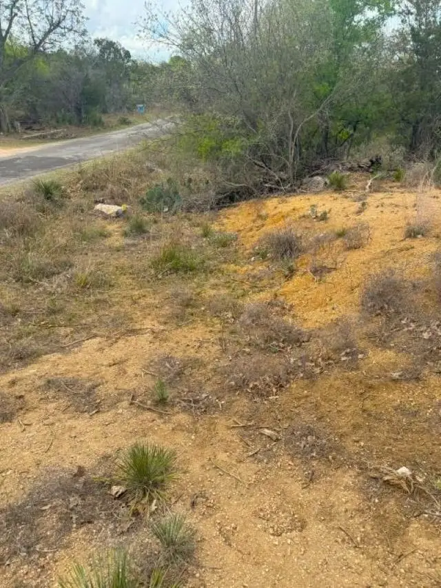 260 E Briarway Dr, Granite Shoals, TX 78654 - Image #3