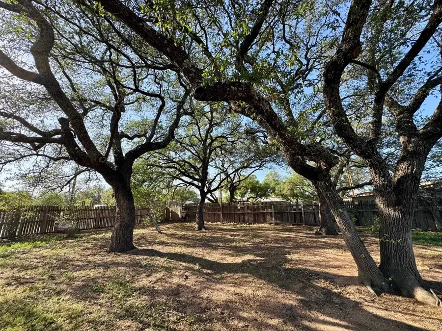 3306 Gardenia Street, Kingsland, TX 78639 - Image #3