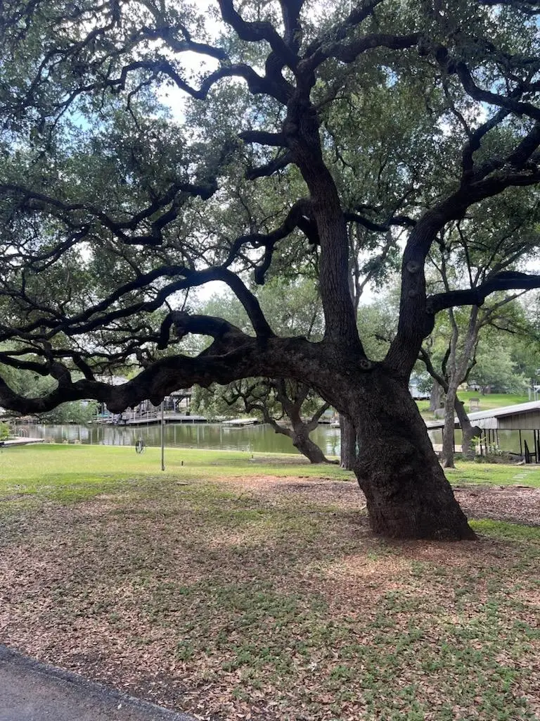 1705 Glencove, Kingsland, TX 78639 - Image #2