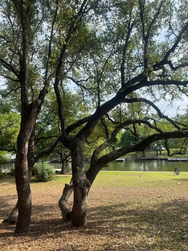 1705 Glencove, Kingsland, TX 78639 - Image #3