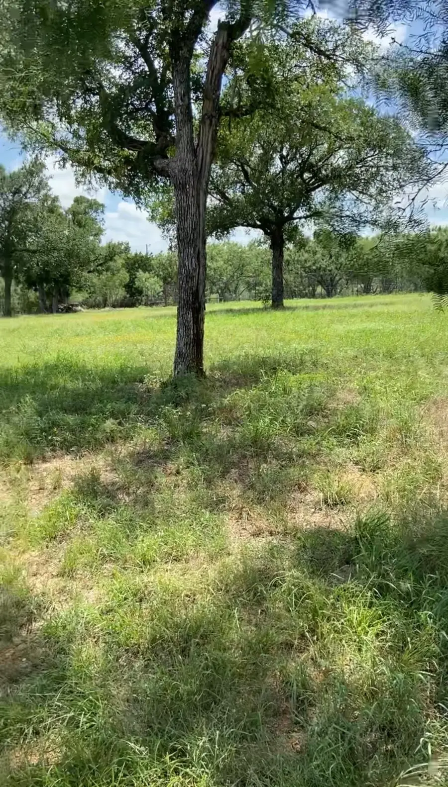 Lot 73A Lazy Oaks, Kingsland, TX 78639 - Image #3