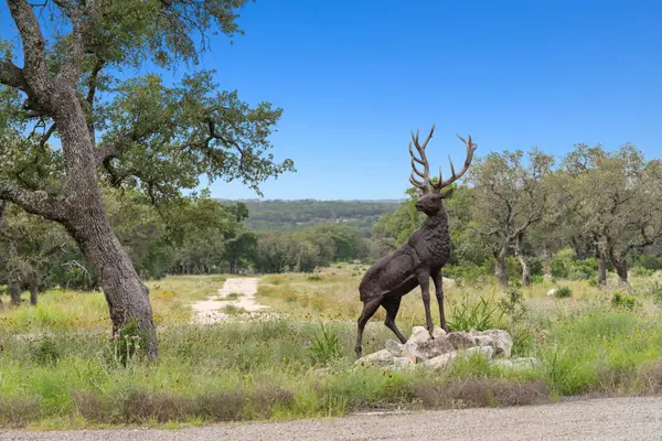 0000 County Road 1287, Lampasas, TX 76650