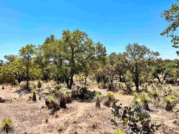 Lot 286 Tbd W. Castlelake Drive, Granite Shoals, TX 78654