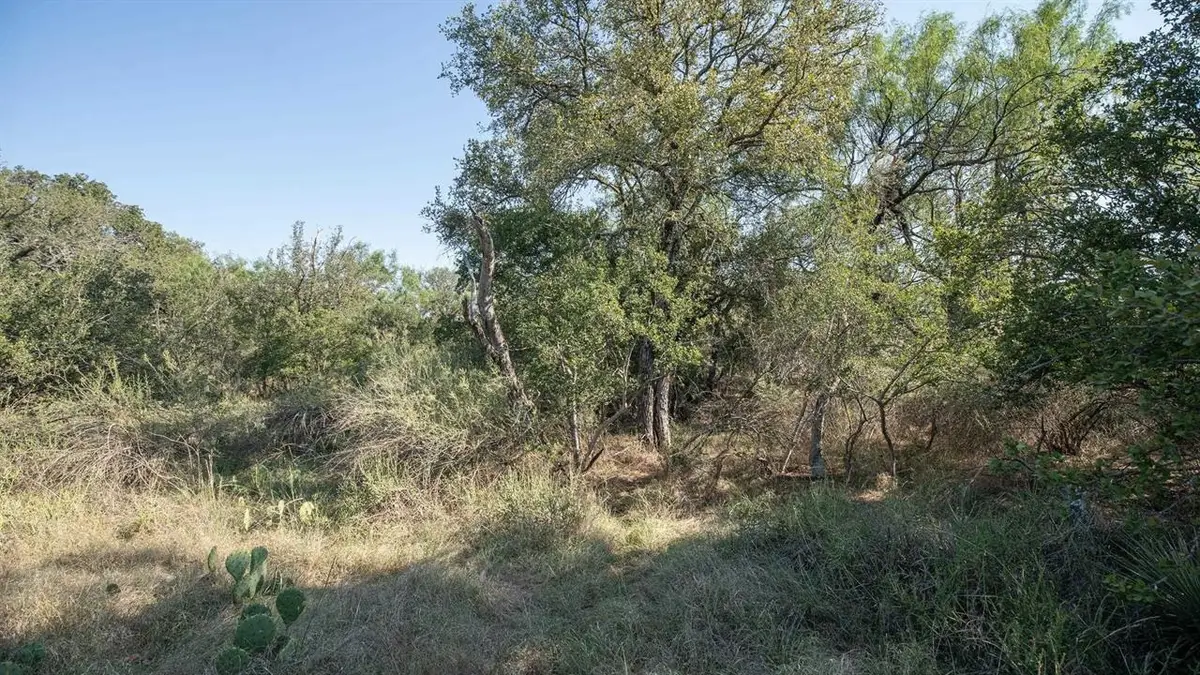 LOT 220 Timber Valley Ln, Granite Shoals, TX 78654 - Image #1