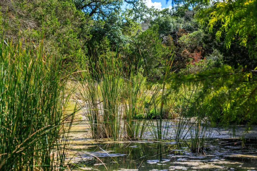 TBD Fm 2342, Burnet, TX 78611 - Image #2