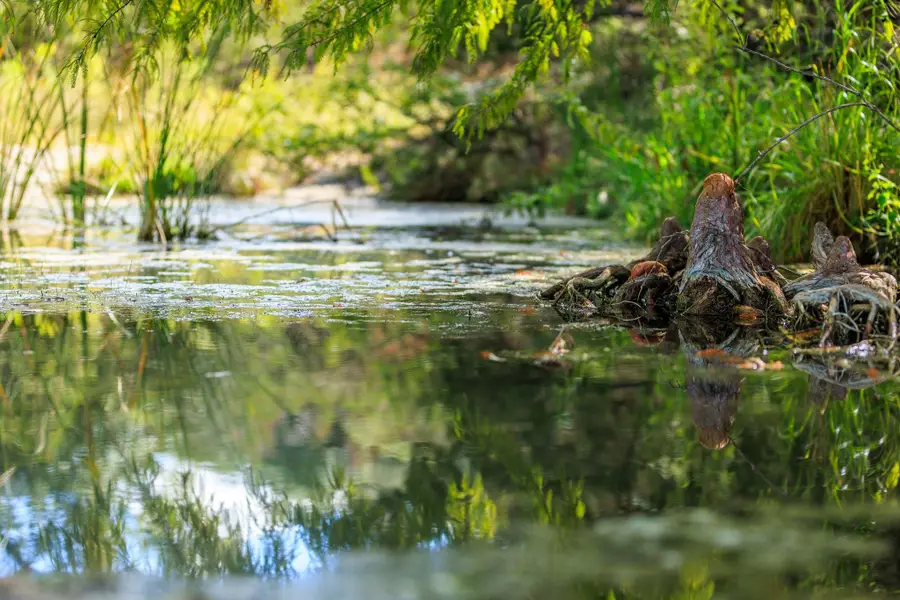 TBD Fm 2342, Burnet, TX 78611 - Image #3