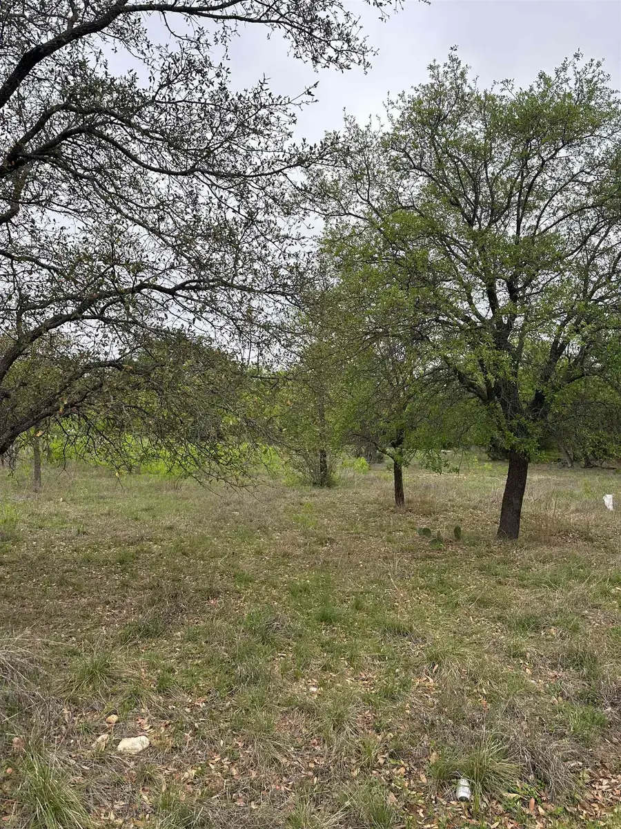 Lot 160 Driftwood Ln, Cottonwood Shores, TX 78657 - Image #3