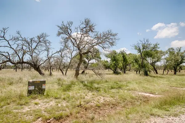 Lot 93 Stock Pond Drive, Harper, TX 78631