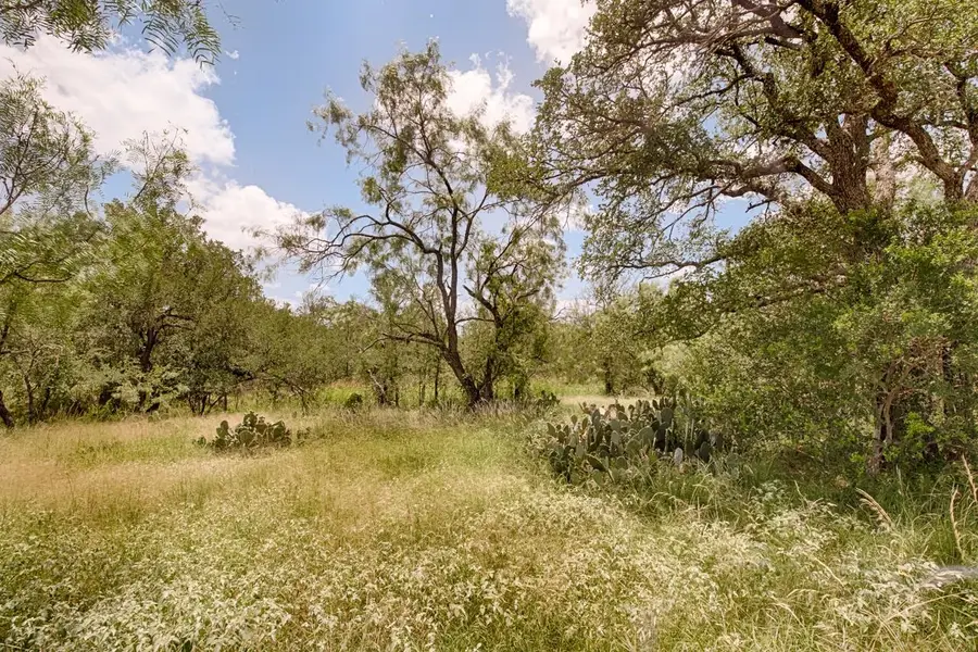 TBD Timber Valley Lane, Granite Shoals, TX 78654 - Image #3