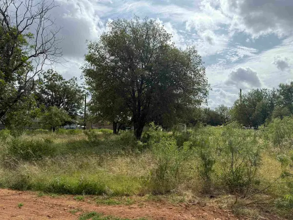 Lot 458 & 459 Fir Lane, Cottonwood Shores, TX 78657
