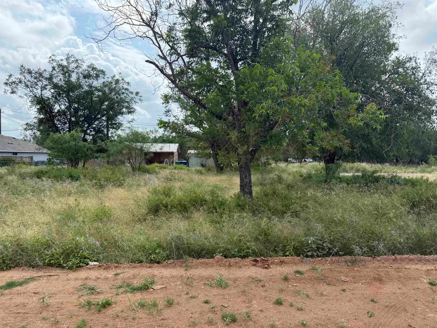 Lot 458 & 459 Fir Lane, Cottonwood Shores, TX 78657 - Image #3