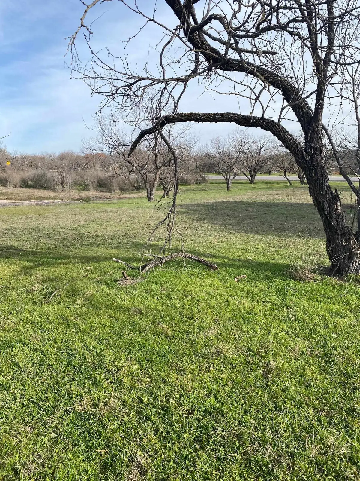 Lt 9013 Springfield, Horseshoe Bay, TX 78657 - Image #1