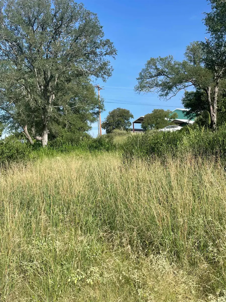 UNK Skyview, Kingsland, TX 78639 - Image #3