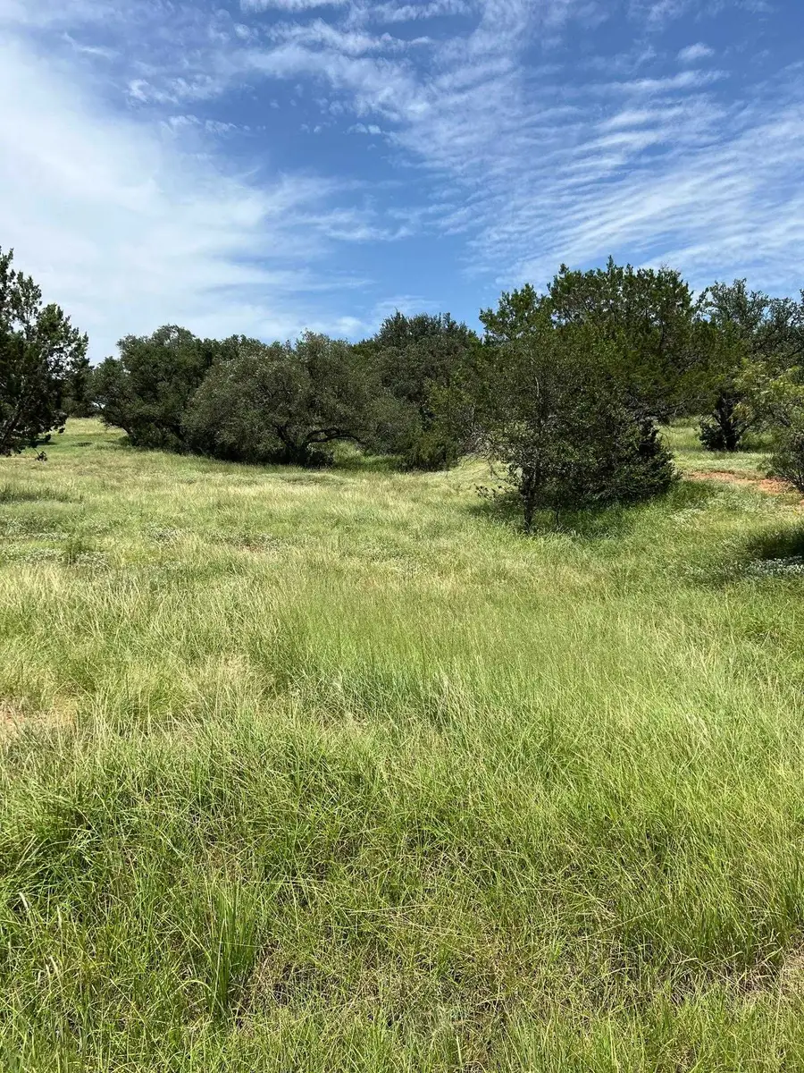 310 Outcrop/cats Eye, Horseshoe Bay, TX 78657 - Image #3